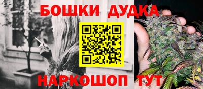 Альфа ПВП Малгобек