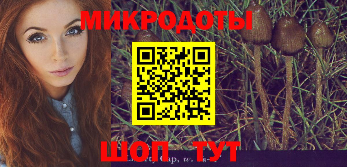 Каменск-Уральский  Галлюциногенные грибы мухоморы  Вход с VPN 